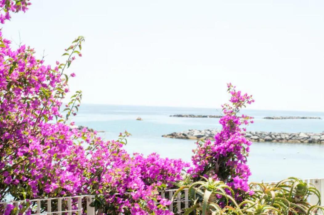 Giardino In Citta; Centralissimo Sanremo Exterior photo
