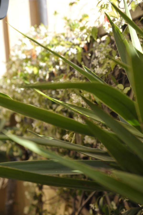 Giardino In Citta; Centralissimo Sanremo Exterior photo